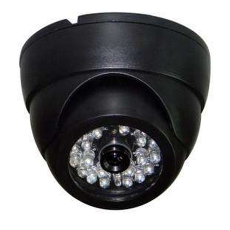 CCD Reversing Conch Camera